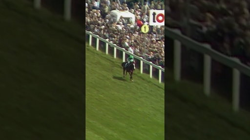 45 years ago, Shergar rewrote Derby history at Epsom 🤯