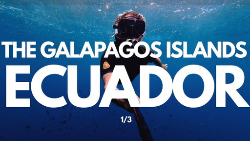 Gringo and Ecuatoriana Travel to the Galápagos for the first time