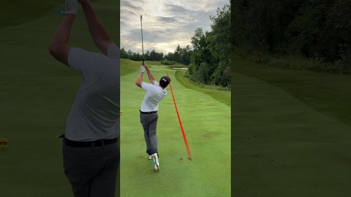 Pro vs 1 hdcp