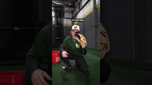 100 baseballs vs glove… BATTLE TO THE DEATH?!🦅