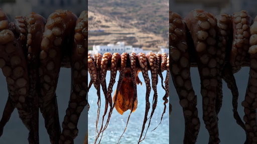 Greek sun-dried octopus 🇬🇷🐙