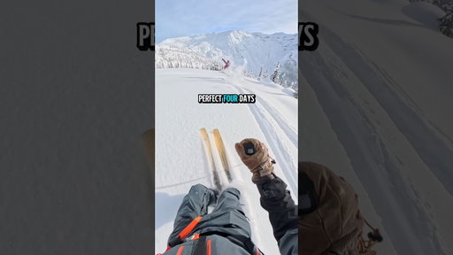 About as good as skiing gets  #ski #skiing