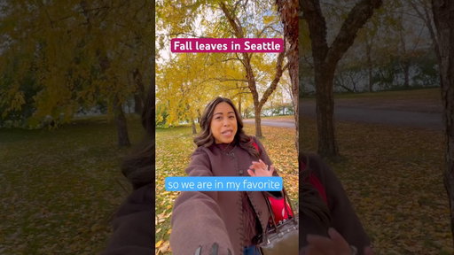 Fall in Seattle, PNW fall, fall leaves #fall #fallfoliage #seattle #pnw #fallleaves #pnwlife