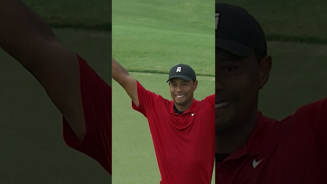 Absolute chills 🐅