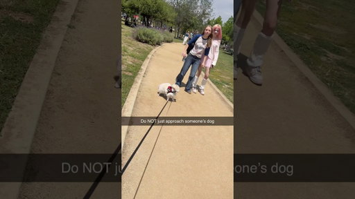 Do NOT just approach someone's dog