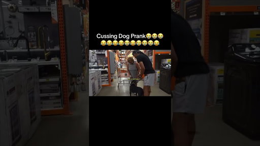 nah the dog is actually wilding 😭😭😂😂😂😭😂 YOUTUBE: SEAN ODIGIE
