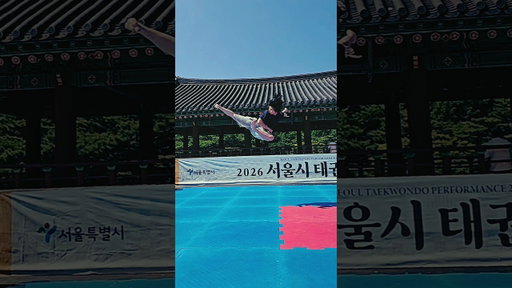 아라치 뛰어옆차기 #미르메