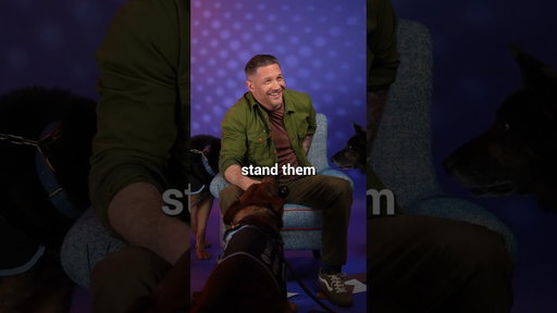 Tom Hardy vs Retired Police Pups! 🐶