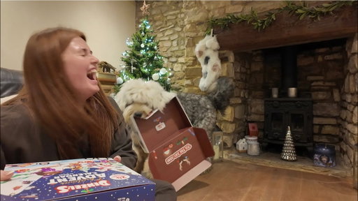 I Have Become A Swiftie, Bobbie Causing Chaos, Country Walks | Vlogmas Day 19
