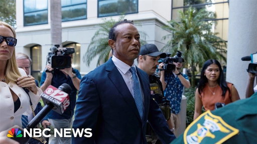 Tiger Woods pleads no contest in DUI case, license to be suspended