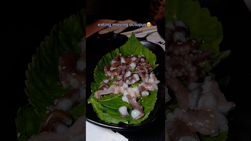 Eating LIVE OCTOPUS?😵‍💫🐙