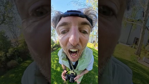 Can I photograph the colour of an elephant’s tongue?