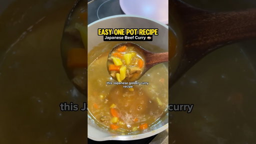EASY ONE POT RECIPE: JAPANESE GOLDEN CURRY!