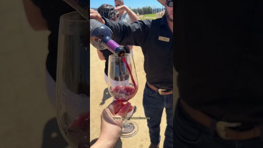 Wine tour in Ensenada, Mexico 🇲🇽🍷 Day 5 cruise vlog #winetasting #mexico #ensenada