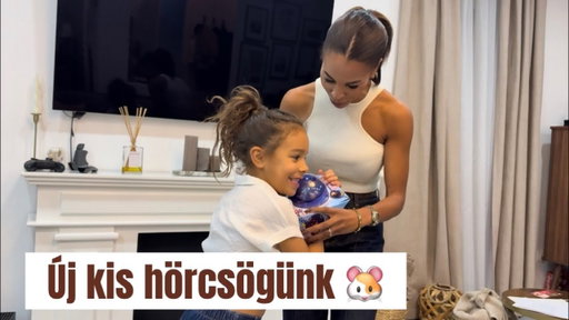Az új kis hörcsögünk- ezt látnod kell 😜