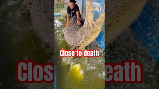 Crocodile almost ripped off his leg #indonesia 👀 #crocodile #jakarta #panji