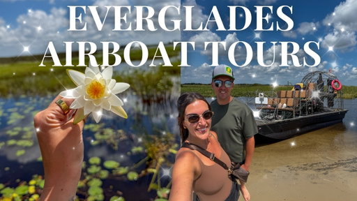 From the Everglades to Magic Kingdom! 🐊 The PERFECT Disney Day? | NEW Wailulu Bar & Grill