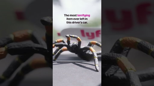 This driver couldn’t believe what her rider left in her car 🕷️