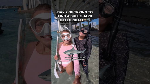 Why were there fish scraps in the water where the bull shark was😳 Wait til end for a surprise!👀😱