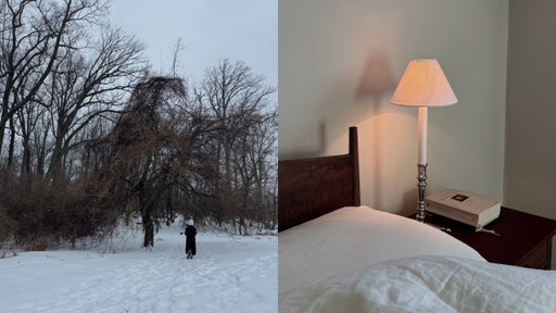 February vlog: cold snowy days, reading updates, settling in