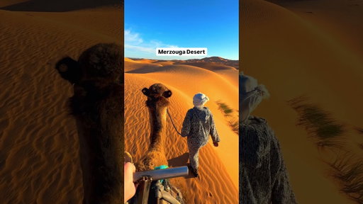 You need to do this Morocco roadtrip 🇲🇦