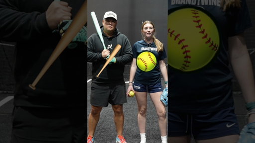 I Faced a Softball pitcher