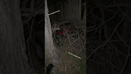 FGTGT #coreyadamcomedy #weird #strange #irl #austin #powerwheel #hiddengems #grave #texas #lol #tx