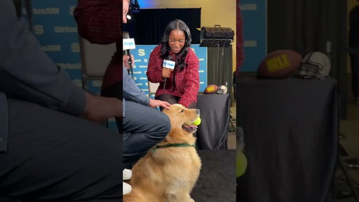 Peter stole the show!! 🤣🤣 @justspruceit @qbreps #ad