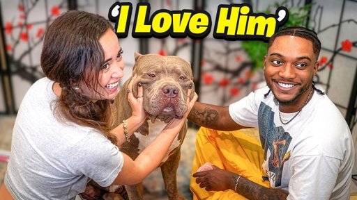MAYA CAME OVER TO VISIT MY DOGS…