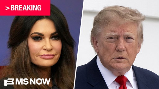 'HUGE national security risk': Kimberly Guilfoyle's swindling is so out of hand even TRUMP is pissed