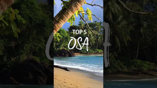 Top Things to Do in the Osa Peninsula, Costa Rica