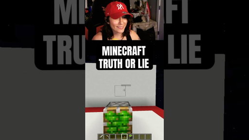Minecraft Truth or Lie