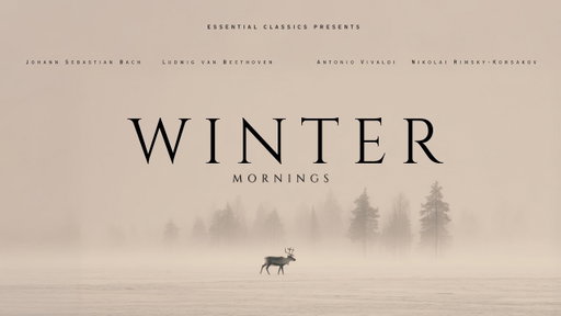 Winter Mornings - Relaxing Classical Music | Vivaldi, Mozart, Bach...