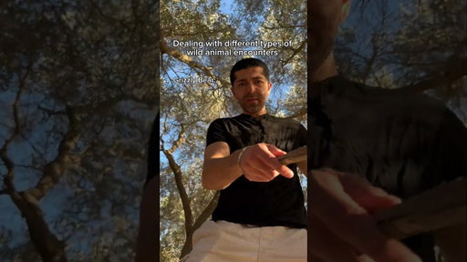 Dealing with different types of wild animal encounters. #shorts #skit #funny