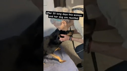 After 30 long days this woman and her Dog are reunited.