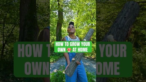 GROW YOUR OWN 🍄 #plants #mushroom #gardening
