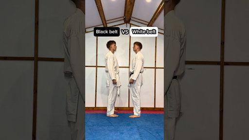 WHITE belt vs BLACK belt…