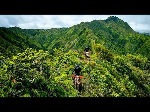 Troy Lee Designs - Scout Collection - Made For The Enthusiast
