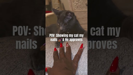 Cat approved nails 💅🏾 #catsofyoutube #holidaynails #catmom