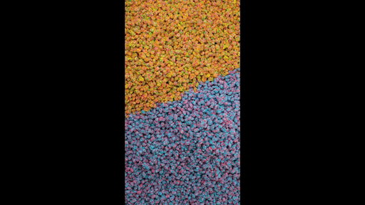 Which side are you taking, Rainbow or Very Berry?