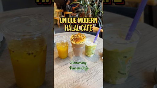 Unique & Modern Late Night Cafe in Redmond - Screaming Parrots Cafe #halal #matcha #redmondwa #tea
