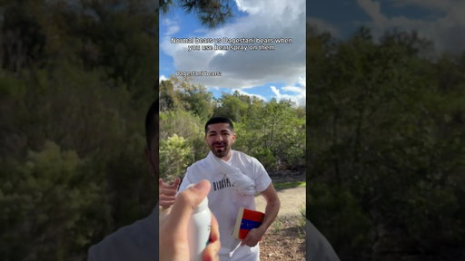 Normal bears vs Dagestani bears when you bear spray them. #shorts #ufc #mma #skit #funny