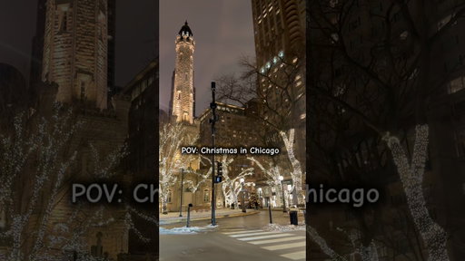 It’s finally Christmas time in Chicago🎄#christmastime #christmasinchicago #chicagovlog #windycity