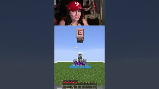 Minecraft Trivia