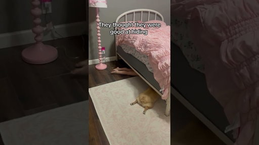 Where’d they go??