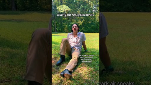 a song for #arkansas lovers ⛰️ #countrymusic #americana #shorts