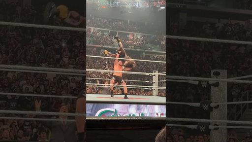 BROCK LESNAR FA VOLARE OBA FEMI