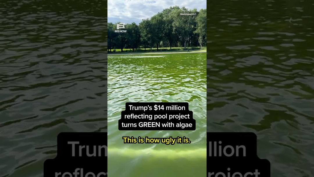 Trump's $14 million reflecting pool project turns GREEN with algae