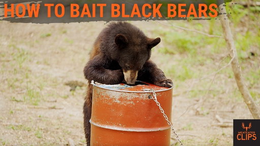 Setting Bait for Bears In Manitoba | With Janis Putelis | MeatEater Clips