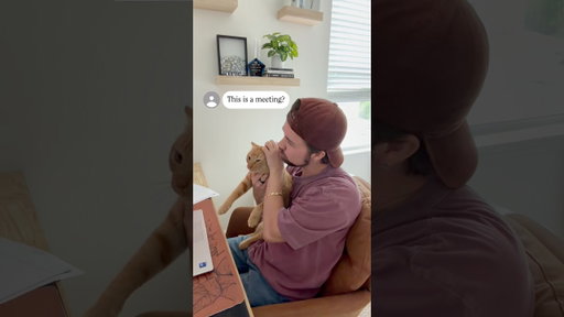 Working From Home With Cats